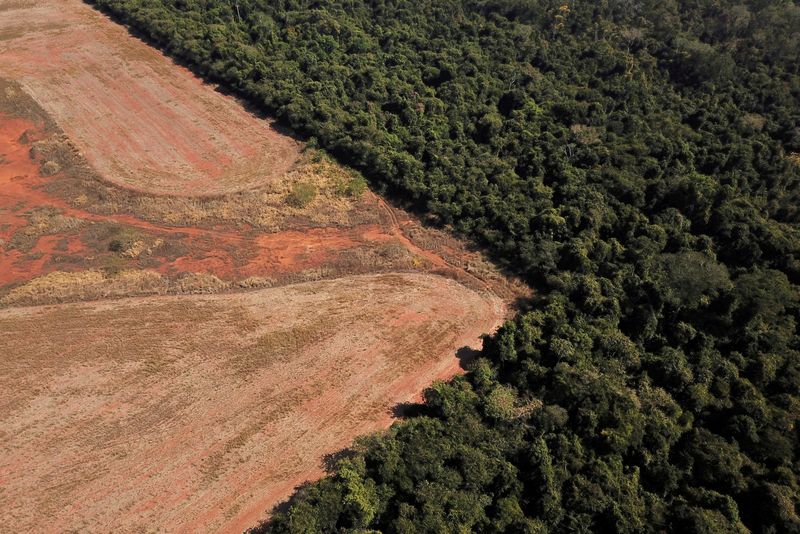 Obra em área ambiental causa polêmica em Belém às vésperas da COP30