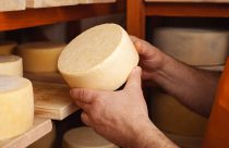Queijo artesanal que não causa intolerância a lactose; veja como é produzido