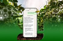 seedai - especialista em sementes