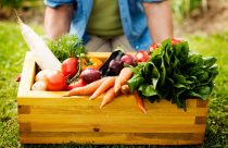 Brasil é superpotência alimentar e exporta sustentabilidade, diz Troyjo