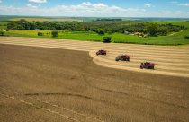 Além do PIB e do nível de emissões de CO2, são considerados nos estudos a participação da agricultura na economia e o uso de fertilizantes nitrogenados. Foto: CNA