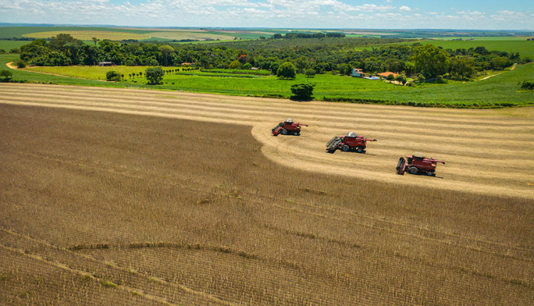 Além do PIB e do nível de emissões de CO2, são considerados nos estudos a participação da agricultura na economia e o uso de fertilizantes nitrogenados. Foto: CNA