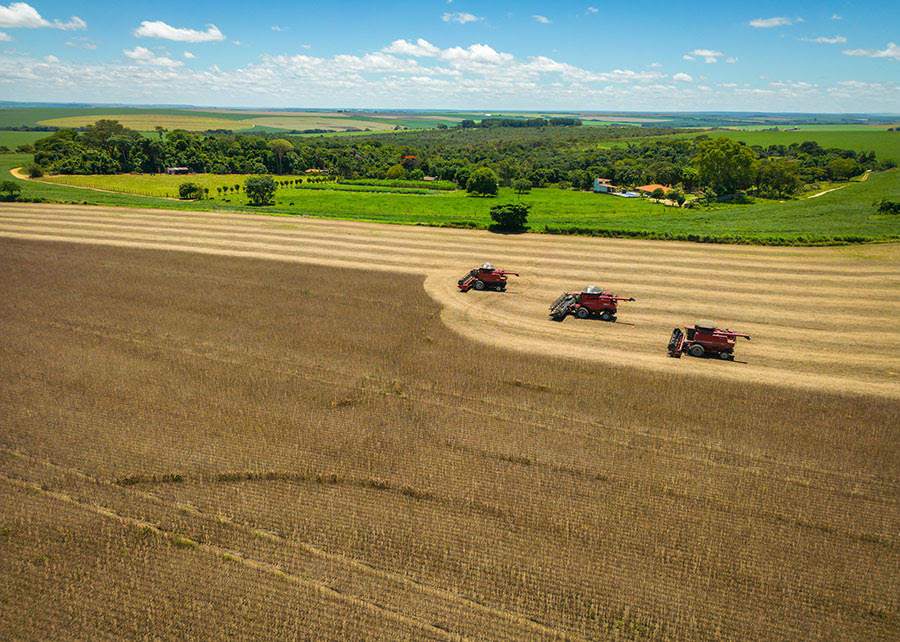 Além do PIB e do nível de emissões de CO2, são considerados nos estudos a participação da agricultura na economia e o uso de fertilizantes nitrogenados. Foto: CNA