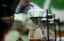 Campinas (SP) sedia campeonato brasileiro de preparo de cafés especiais filtrados no IAC