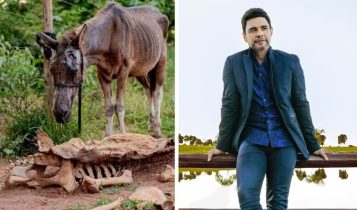 Zezé Di Camargo adota cavalos resgatados sem comida e feridos em abatedouro clandestino