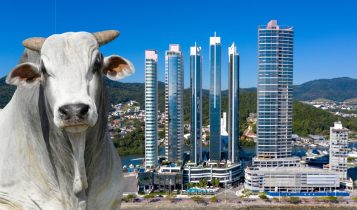 Balneario Camboriu considerada a queridinha do agro no Sul