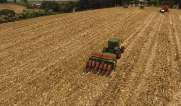 EUA vendem 377,6 mil t de milho da safra 2025/26, revela USDA