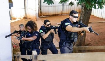 Operação apura desvio de novilhas em Aragarças; prejuízo chega a R$ 48 mil
