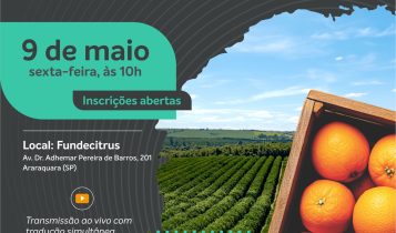 Safra da laranja 2025/26: Fundecitrus fará anúncio de estimativa no dia 9 de maio