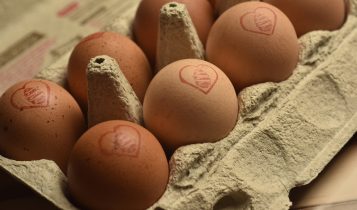 A nova geração dos ovos: como o consumidor moderno impulsionou um portfólio que vai além do tradicional