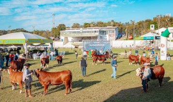 Mundial Braford tem julgamentos e palestras na etapa realizada no Parque em Esteio