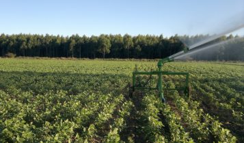 Sucessão rural exige planejamento jurídico e financeiro para preservar o legado familiar
