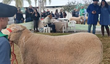 Fenovinos contará com 588 exemplares que irão a julgamento nas pistas de Vacaria