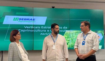 Entidades debatem estratégias para fomento da ovinocultura nacional
