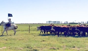 Fazenda Espinilho recebe abertura da Gira Técnica do Mundial Braford