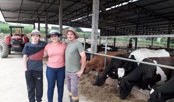 Produtores investem em estrutura e produtividade com uso de crédito rural