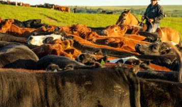 Mais de 35 mil fazendeiros correm risco de perda do imóvel para a União