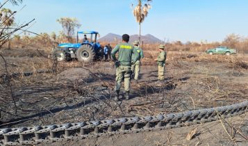 Justiça obriga criadores de gado a desocuparem áreas degradadas no Pantanal