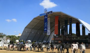 abertura julgamento Megaleite 2025