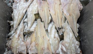 Quadrilha rouba carga de bacalhau de quase R$ 2 milhões às vésperas da Páscoa