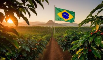 Dia Mundial do Café: uma homenagem ao grão que faz o Brasil crescer
