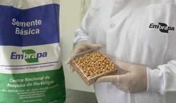 Brasil envia cultivares de batata-doce e grão-de-bico em missão ao espaço
