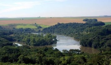 Seminário no IEA discutirá manejo ecológico em propriedades rurais; saiba como se inscrever