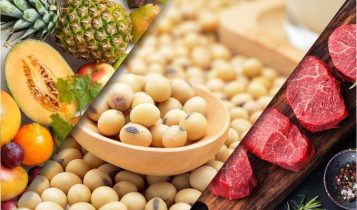 Quem são os maiores produtores de alimentos no mundo?