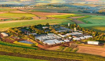 Cinco décadas de contribuição para a agricultura: Embrapa Soja faz 50 anos hoje