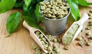 Conheça o poder do café verde: O grão que está ganhando espaço no agro