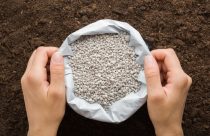 Alerta no Campo: Crise no Oriente Médio encarece fertilizantes e fecha janela de compras