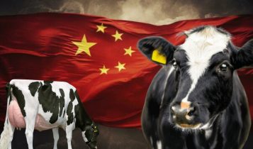 leite china