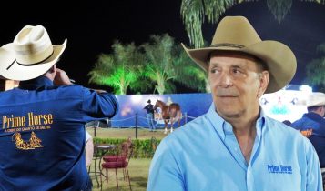 prime horse Jamil celebra 40 anos de historia ofertando alta genetica no Quarto de Milha