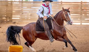 ABCCC: Animais estreantes no Freio de Ouro se classificam para a grande final em Esteio