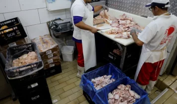Prazo de 28 dias para Brasil ficar livre da gripe aviária começa hoje