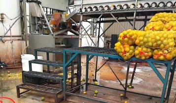Fiscalização interdita fábricas de suco no interior de São Paulo