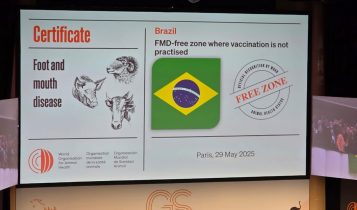 Organização Mundial de Saúde Animal reconhece o Brasil como país livre de febre aftosa sem vacinação