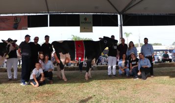 Granja Leticia é destaque na Fenasul Expoleite 2025 com os títulos Melhor Expositor e Melhor Criador 