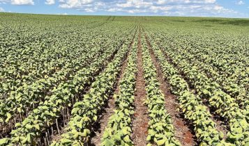 Inadimplência nos Contratos de Arrendamento não pode ser justificada por fatores externos