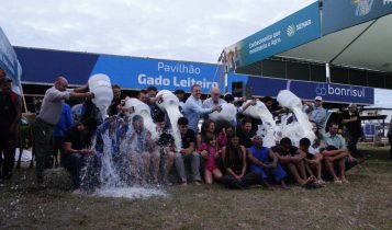 Granja de Anta Gorda faz dobradinha no Concurso Leiteiro da Fenasul Expoleite