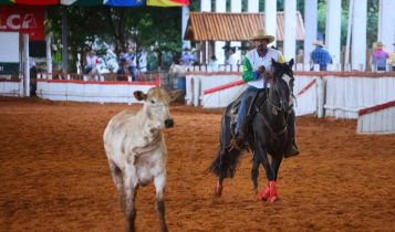 Jataí recebe laçadores de 18 estados em torneio com R$ 2,7 milhões em prêmios