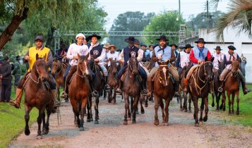 Cavalo Crioulo anuncia a maior Marcha de Resistência da história; confira