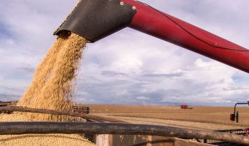 Safra 2025/26 de soja no Tocantins será de grandes números, mas exige cautela do produtor