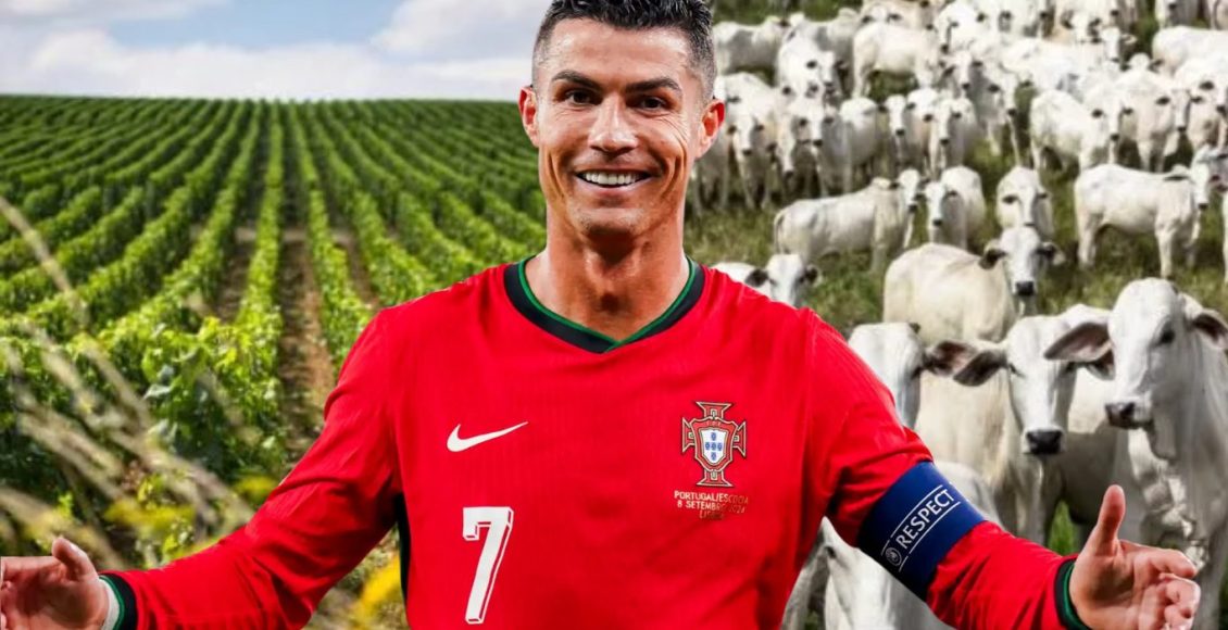 Craque no jogo e no agro: Cristiano Ronaldo é dono do maior império agrícola de Portugal