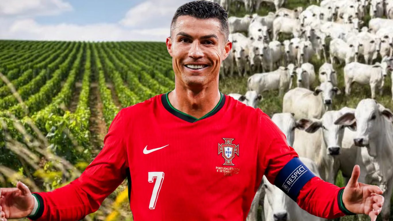 Cristiano Ronaldo no agro: como o craque construiu o maior império agrícola de Portugal