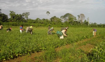 Programa AgroAmigo oferece R$ 1 bilhão em microcrédito