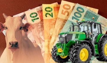 credito rural ao produtor - plano safra
