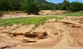 USDA anuncia 2ª etapa de auxílio a agricultores afetados por desastres naturais