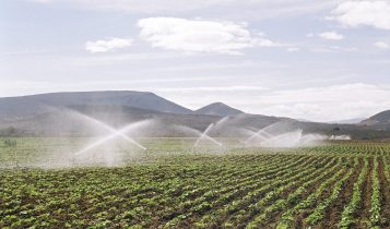 Projetos de irrigação no Oeste Baiano alcançam R$ 633 milhões em valor bruto de produção