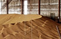 Acidentes fatais em silos de grãos levantam preocupação sobre a segurança no campo